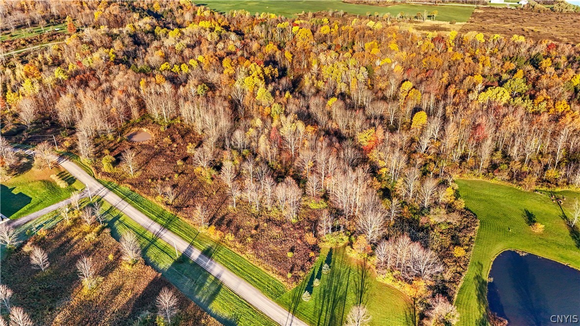 Lot 36 Cogar Drive, Schuyler, NY 13340