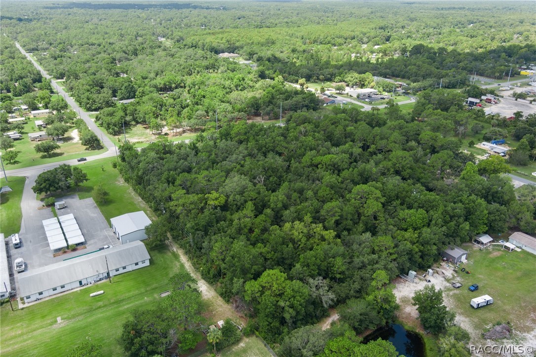 6779 W Grover Cleveland Boulevard, Homosassa, FL 34446