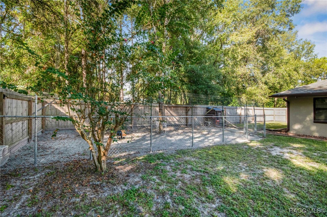 9161 N Bertin Drive, Citrus Springs, FL 34434