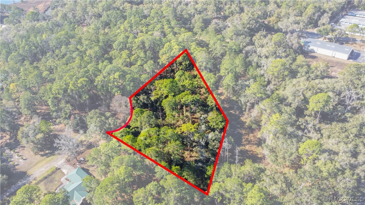 2319 W Wildflower Court, Dunnellon, FL 34434