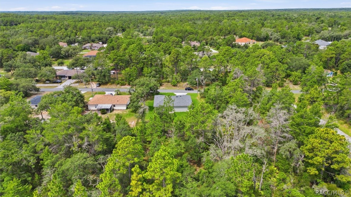 1569 W McNeal Drive, Citrus Springs, FL 34434