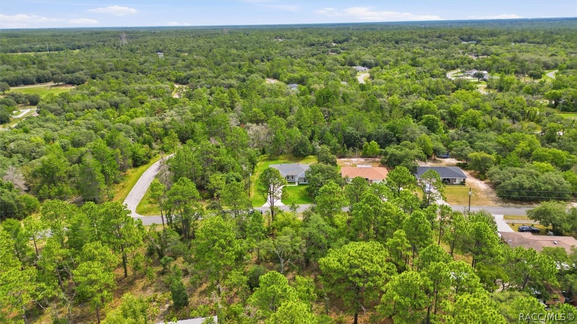 1569 W McNeal Drive, Citrus Springs, FL 34434
