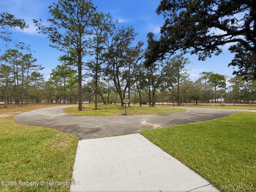 12124 Squeeze Avenue, Brooksville, FL 34614