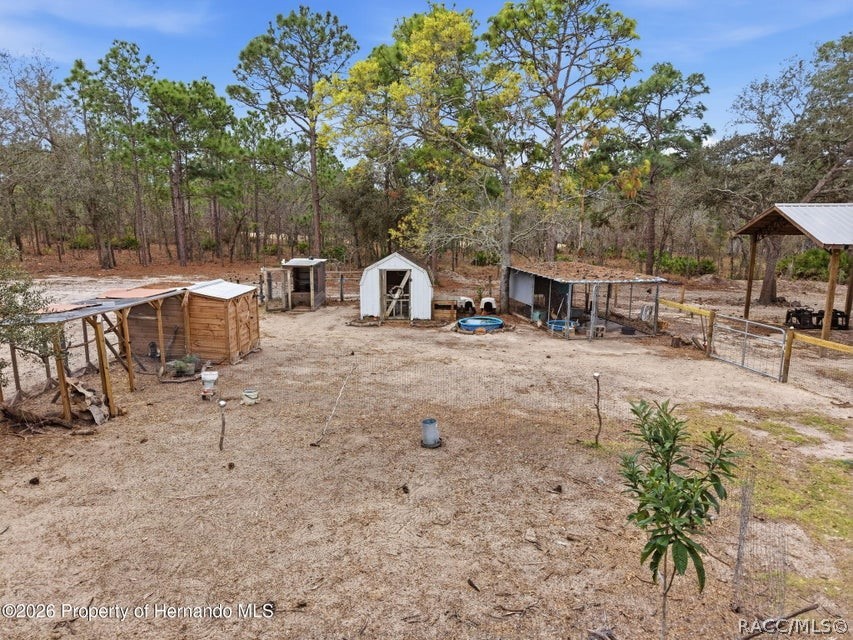 12124 Squeeze Avenue, Brooksville, FL 34614