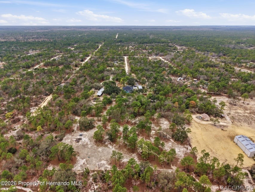 12124 Squeeze Avenue, Brooksville, FL 34614