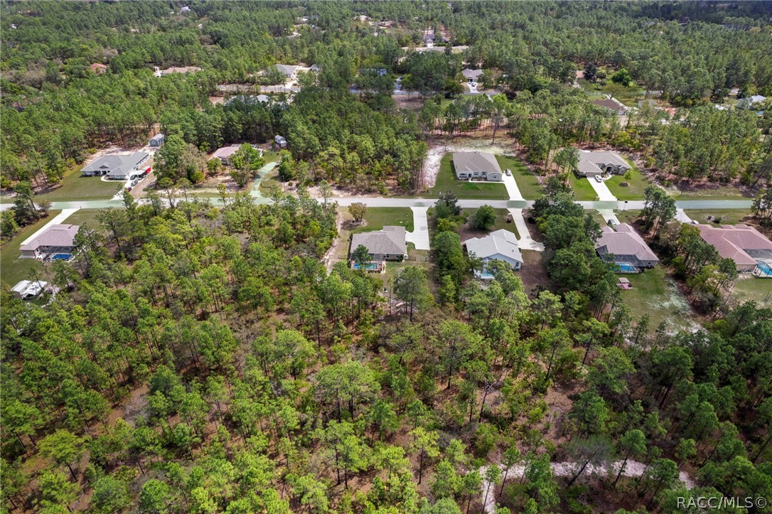 4268 N Saddletree Drive, Beverly Hills, FL 34465