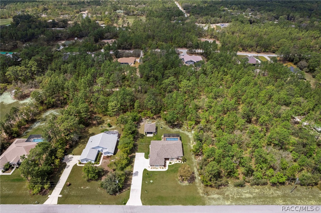 4268 N Saddletree Drive, Beverly Hills, FL 34465