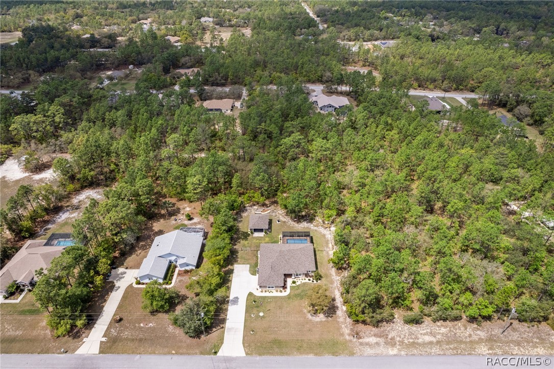 4268 N Saddletree Drive, Beverly Hills, FL 34465