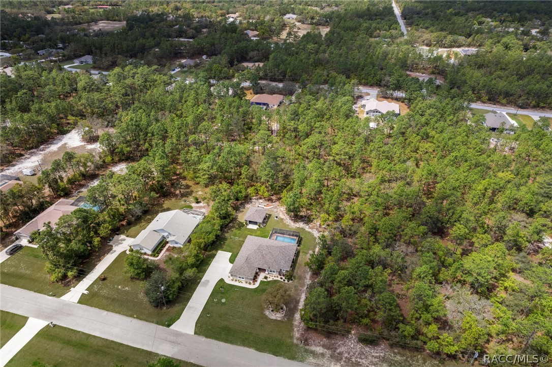 4268 N Saddletree Drive, Beverly Hills, FL 34465