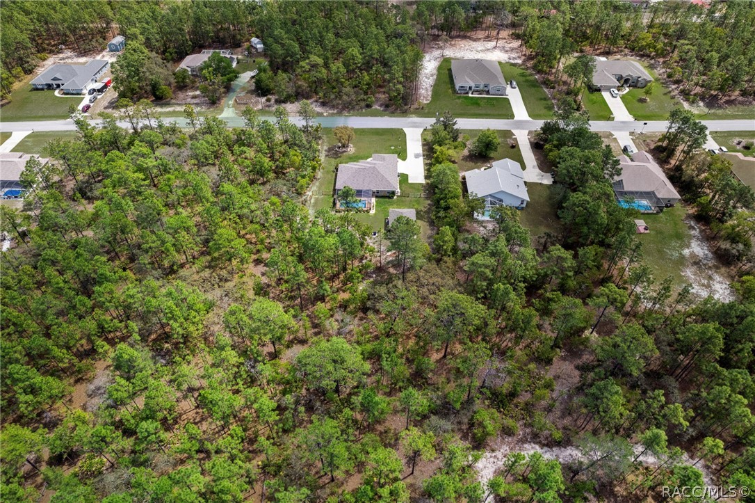 4268 N Saddletree Drive, Beverly Hills, FL 34465