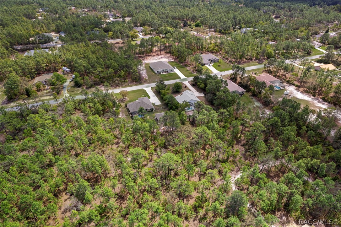 4268 N Saddletree Drive, Beverly Hills, FL 34465
