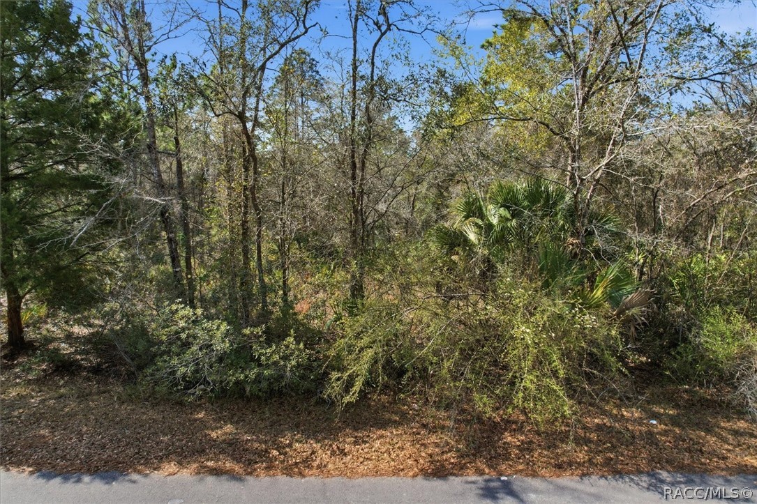 9568 N Dawnflower Avenue, Crystal River, FL 34428 9568 N Dawnflower Avenue, Crystal River, FL 34428