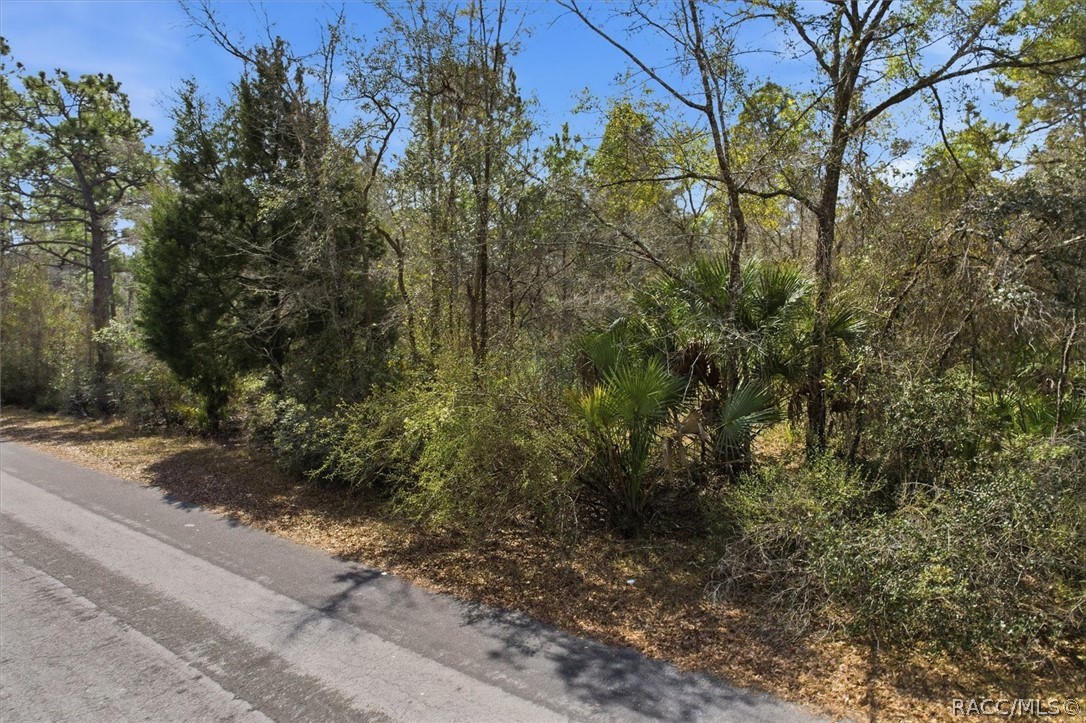 9568 N Dawnflower Avenue, Crystal River, FL 34428 9568 N Dawnflower Avenue, Crystal River, FL 34428