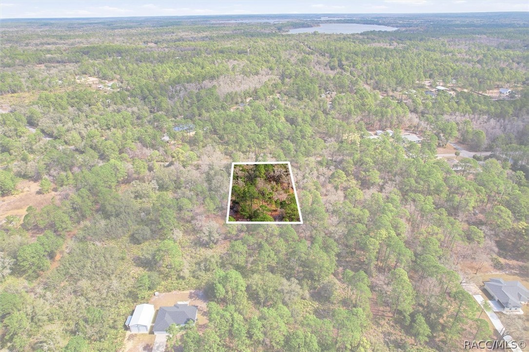 9568 N Dawnflower Avenue, Crystal River, FL 34428