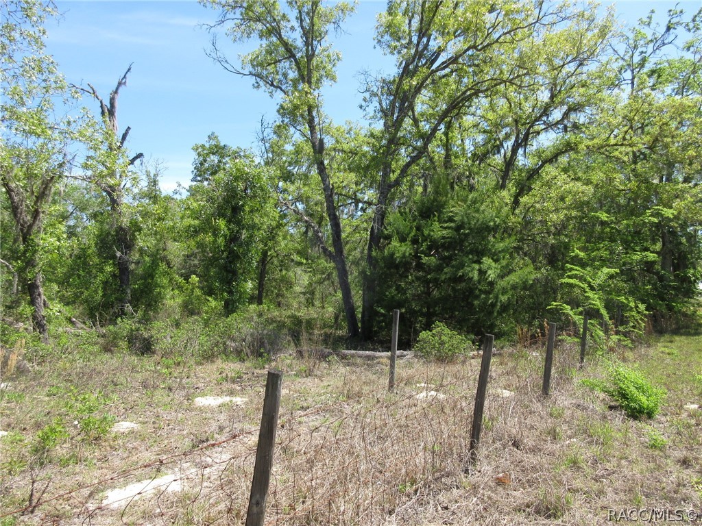 Located In North Citrus County Located In North Citrus County