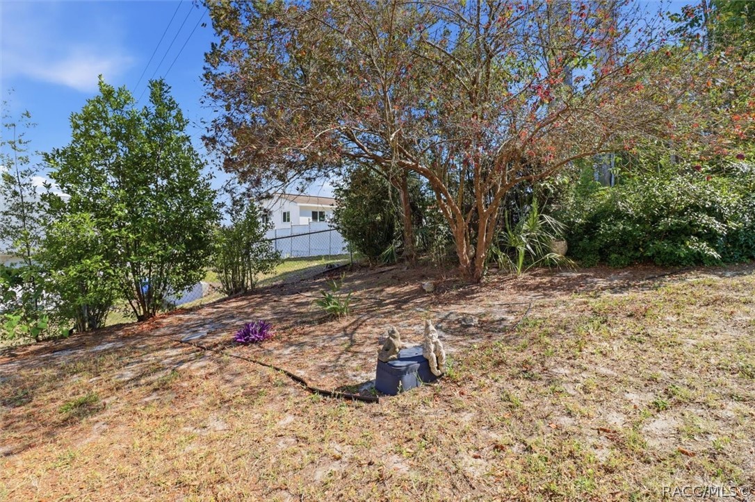 Exterior backyard