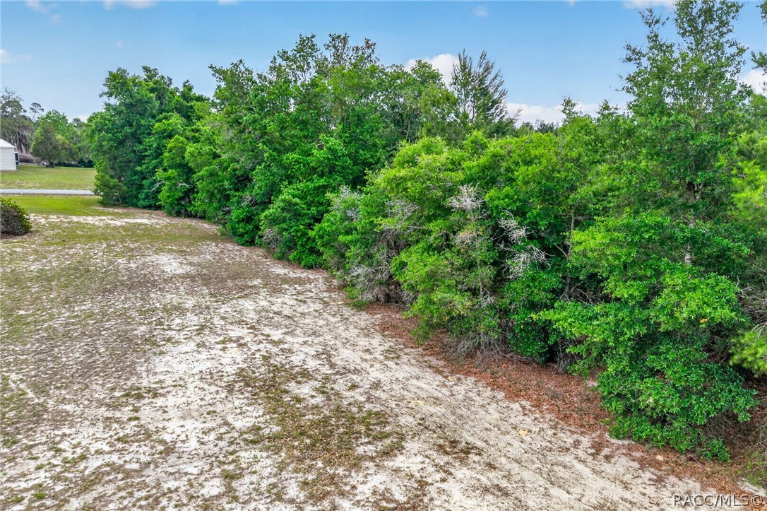 1642 S Valerie Point, Inverness, FL 34452