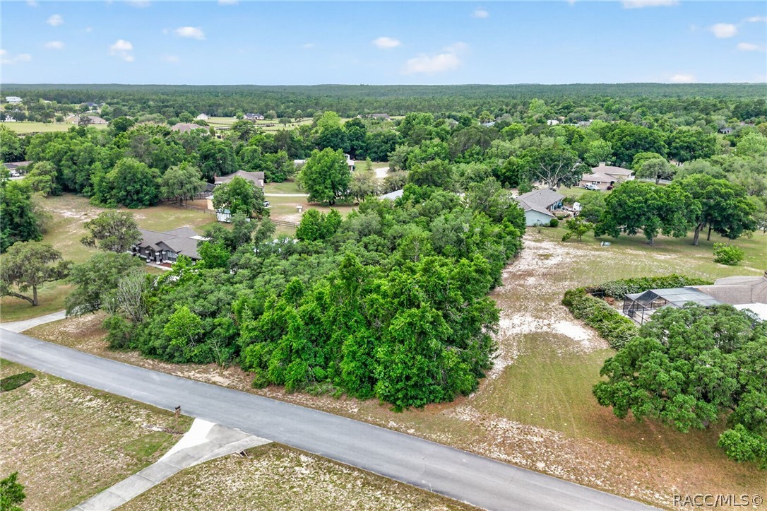 1642 S Valerie Point, Inverness, FL 34452