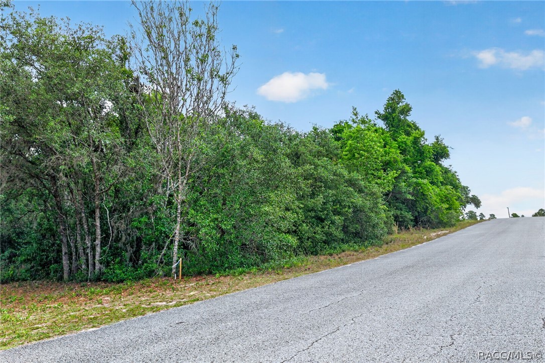 1642 S Valerie Point, Inverness, FL 34452