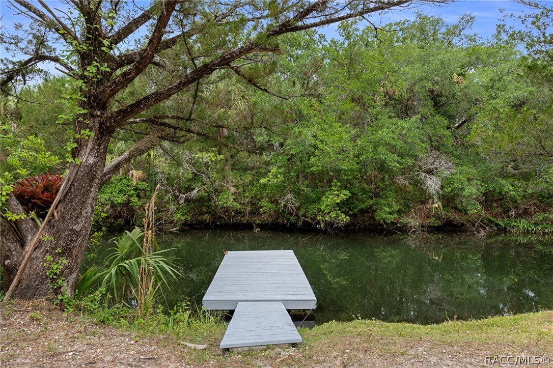 2272 S Todd Point, Homosassa, FL 34448