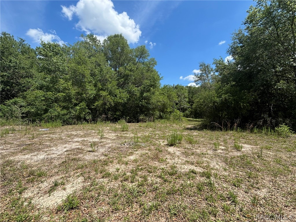 2608 Polk Street, Inverness, FL 34453 2608 Polk Street, Inverness, FL 34453