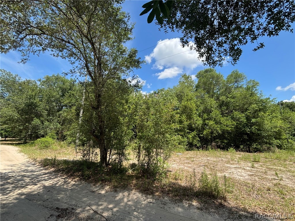 2608 Polk Street, Inverness, FL 34453 2608 Polk Street, Inverness, FL 34453