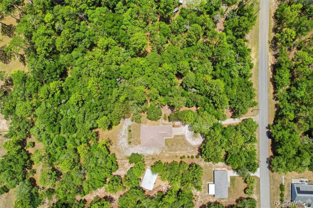 3071 N Hamlin Terrace, Hernando, FL 34442
