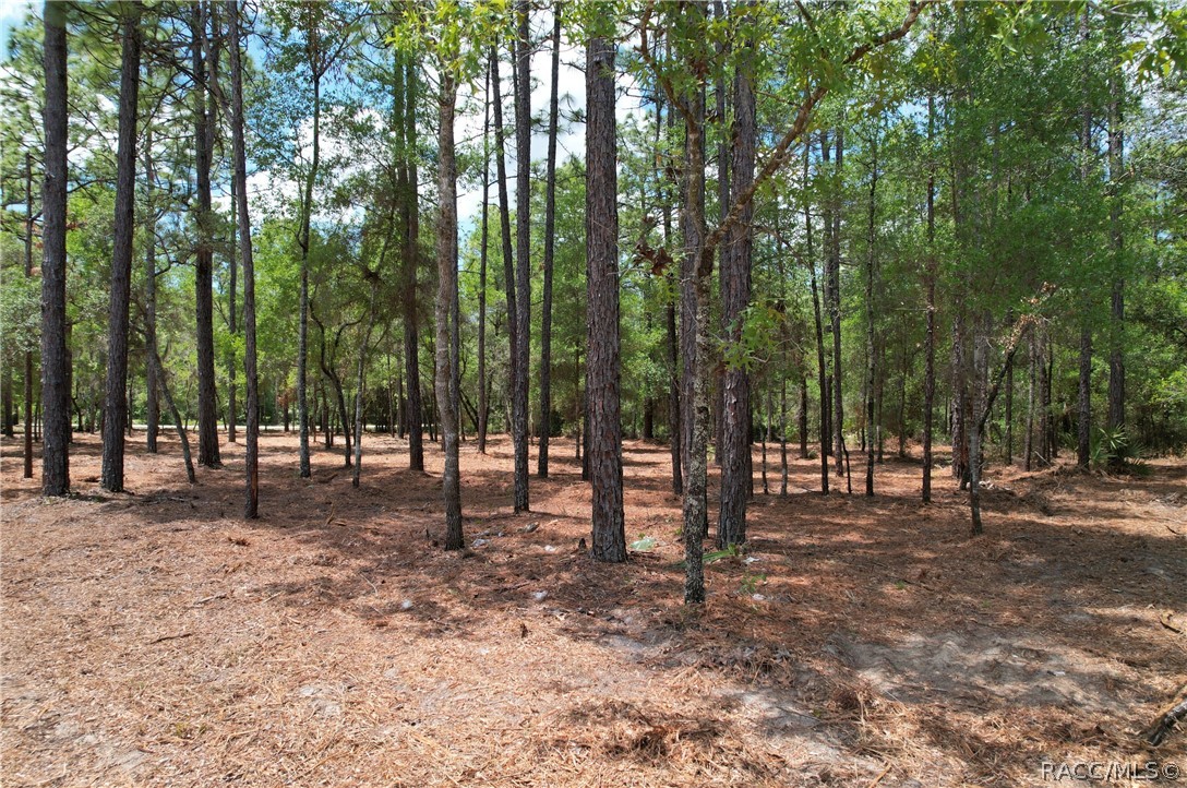 6925 W Copenhagen Street, Dunnellon, FL 34433