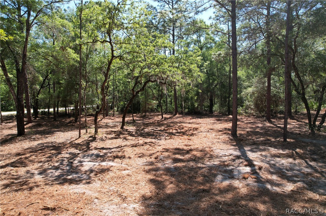 6925 W Copenhagen Street, Dunnellon, FL 34433
