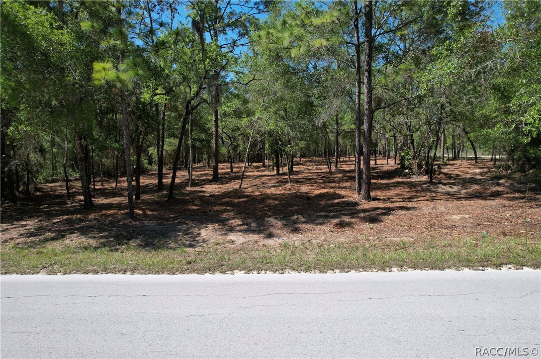 6925 W Copenhagen Street, Dunnellon, FL 34433