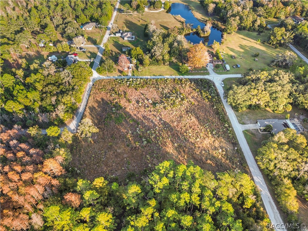 1146 N Jorie Terrace, Crystal River, FL 34429 1146 N Jorie Terrace, Crystal River, FL 34429