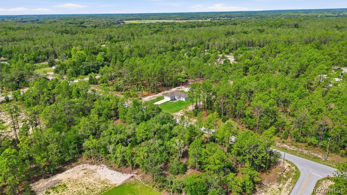 3266 SW Admiral Landing Drive, Dunnellon, FL 34431