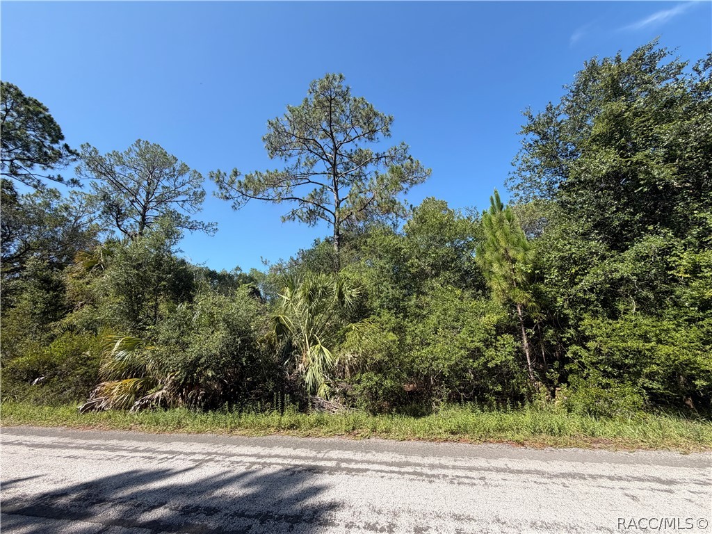 9614 N Dawnflower Avenue, Crystal River, FL 34428