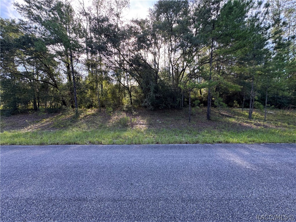 1273 E Toledo Drive, Citrus Springs, FL 34434