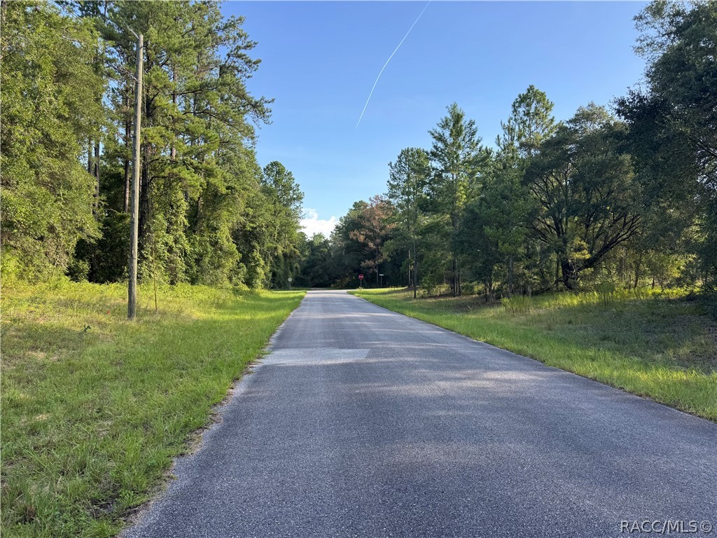 1273 E Toledo Drive, Citrus Springs, FL 34434