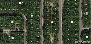 1273 E Toledo Drive, Citrus Springs, FL 34434