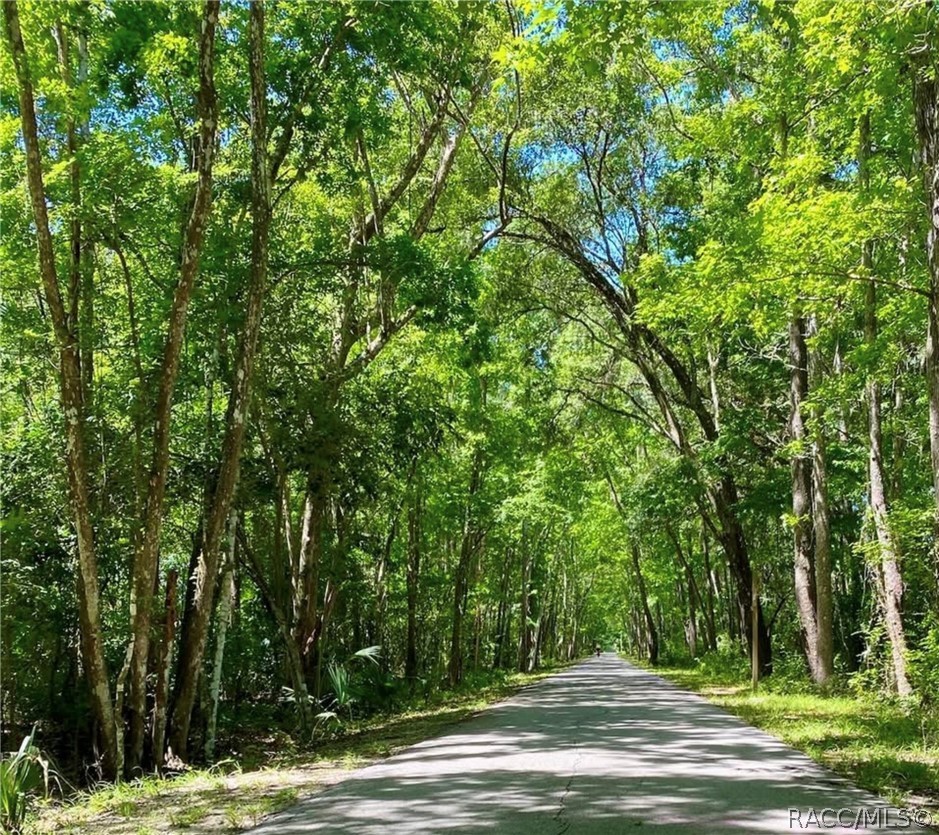 Withlacoochee Rails to Trails