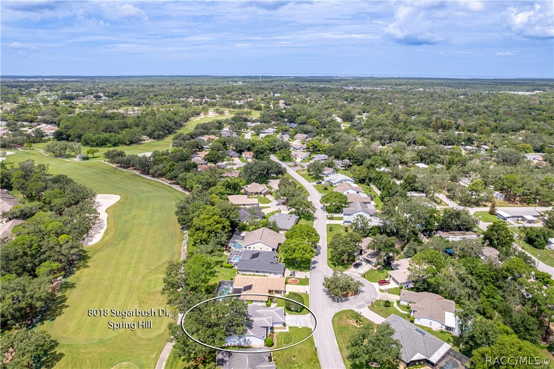 8018 Sugarbush Drive, Spring Hill, FL 34606