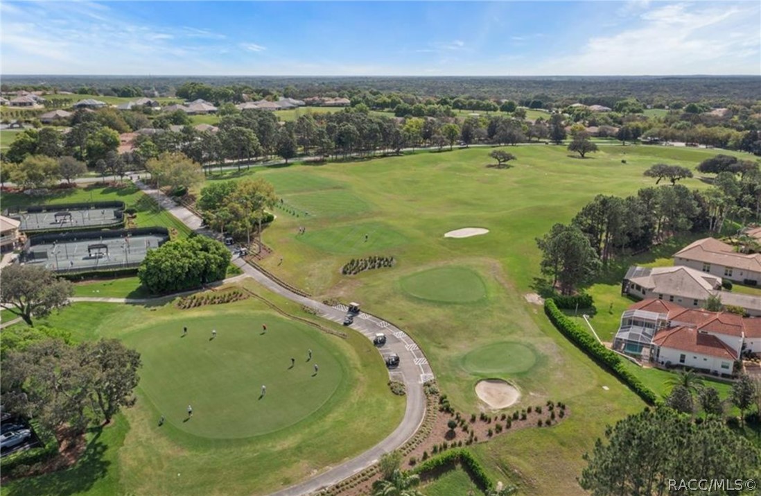 1611 N Dimaggio Path, Hernando, FL 34442
