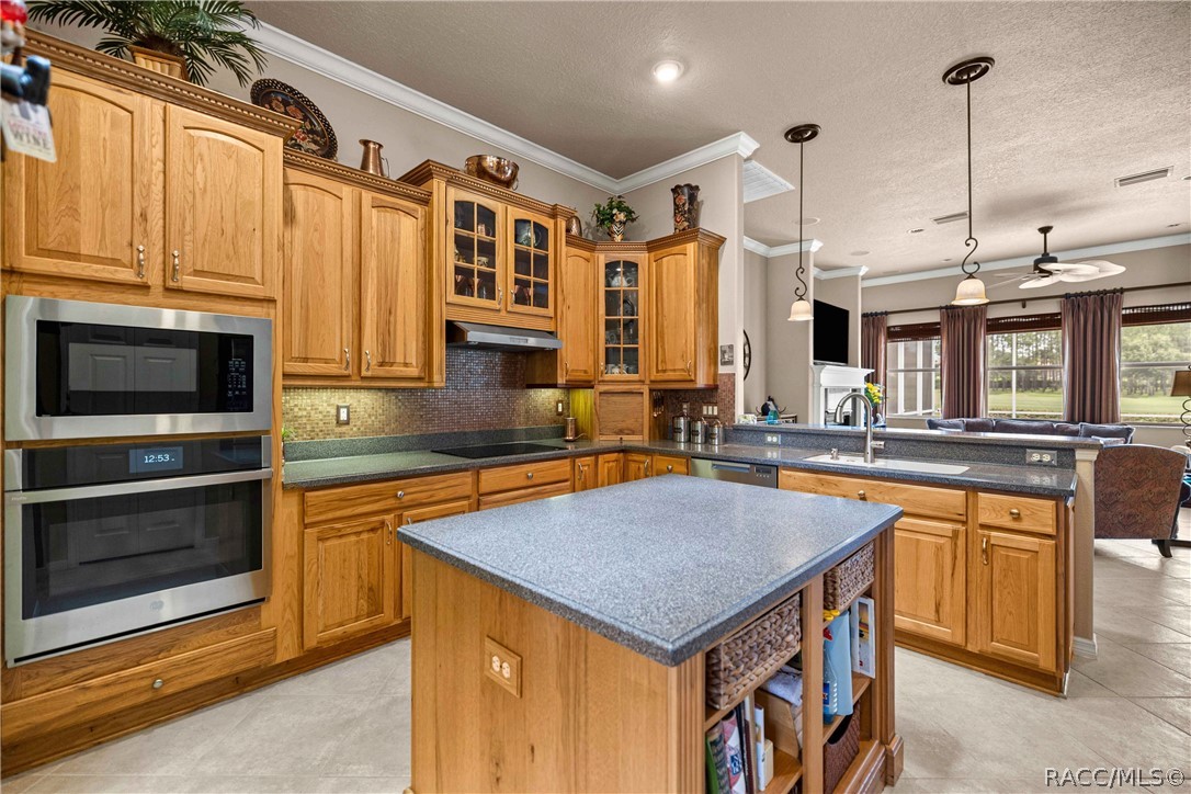 1611 N Dimaggio Path, Hernando, FL 34442