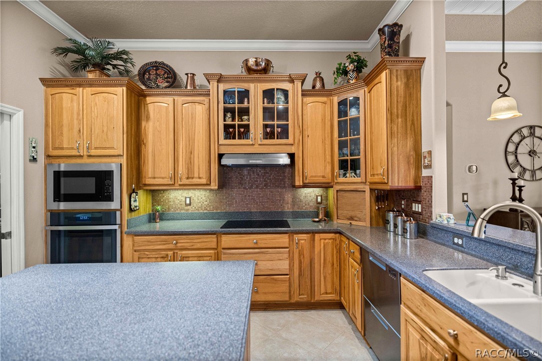 1611 N Dimaggio Path, Hernando, FL 34442