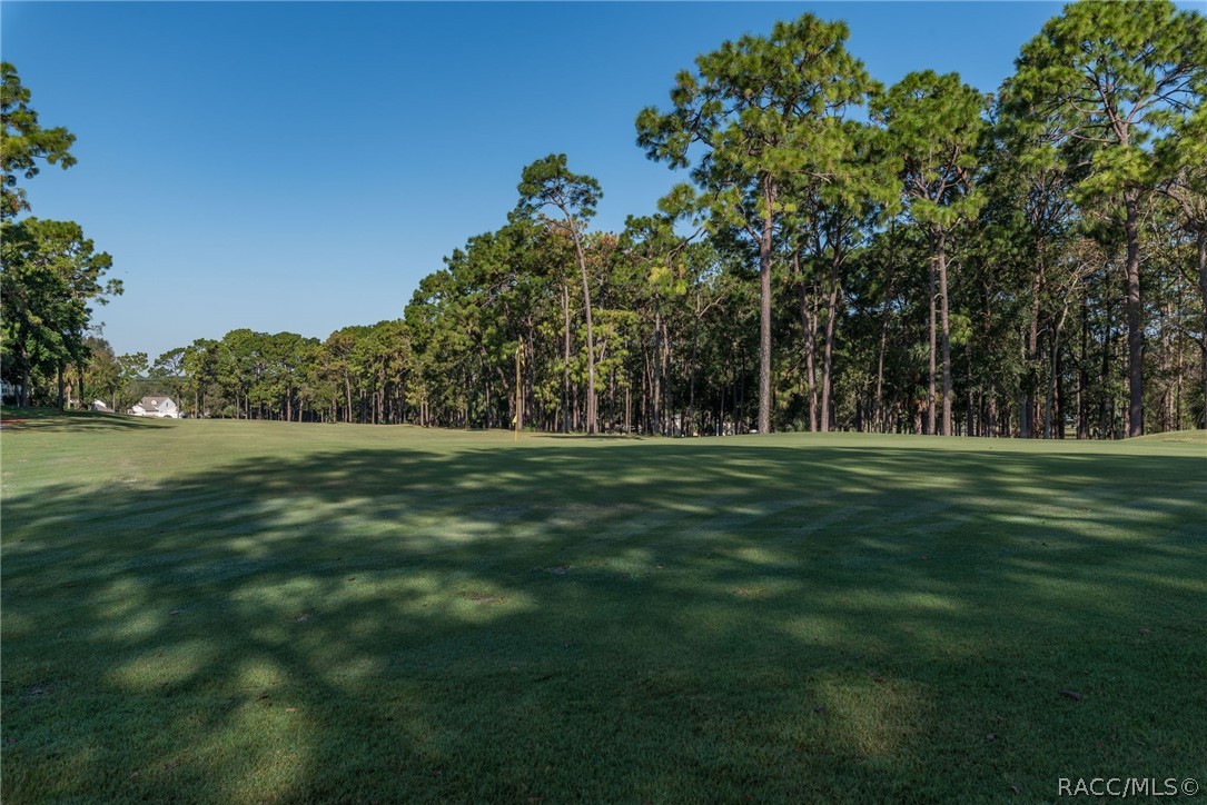 14621 Brookridge Boulevard, Brooksville, FL 34613