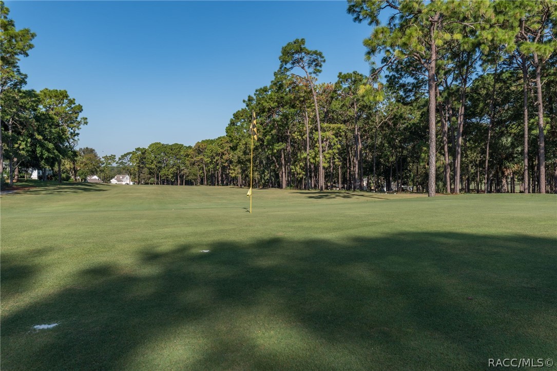 14621 Brookridge Boulevard, Brooksville, FL 34613