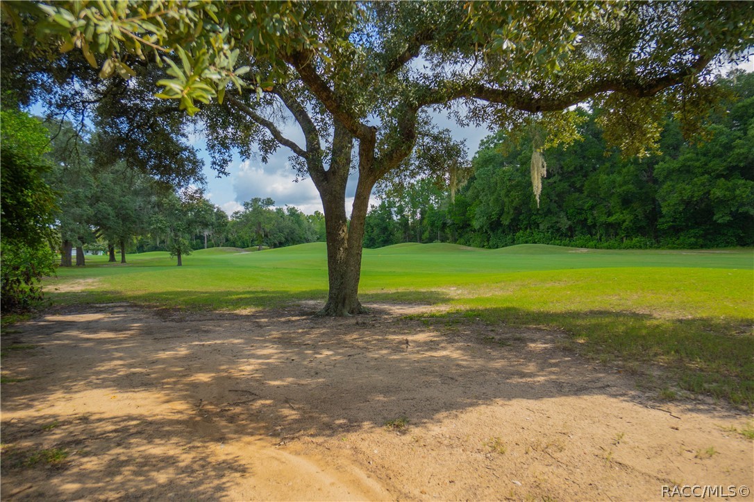 4919 N El Camino Drive, Beverly Hills, FL 34465