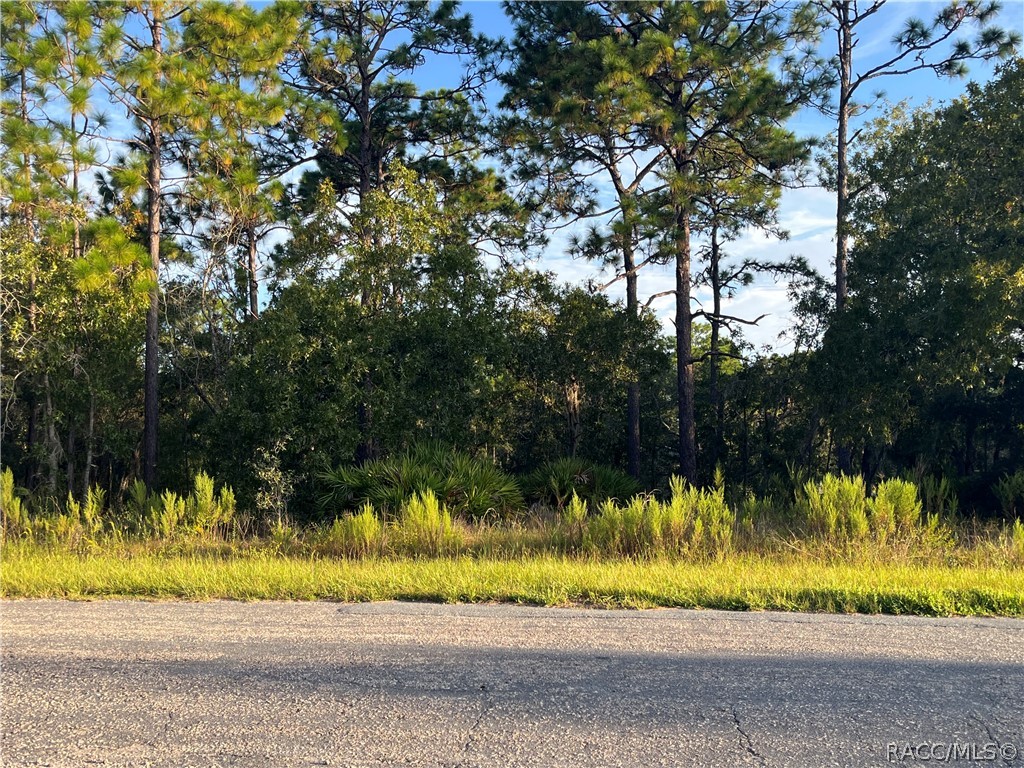 837 W Hummingbird Drive, Citrus Springs, FL 34434