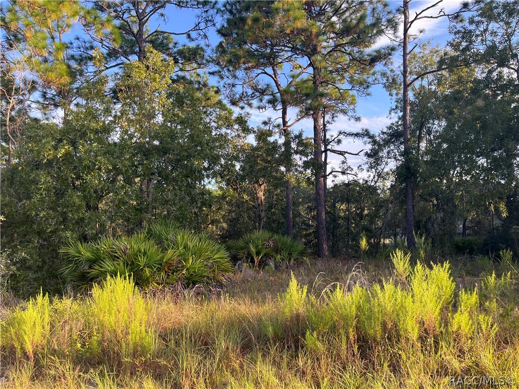 837 W Hummingbird Drive, Citrus Springs, FL 34434