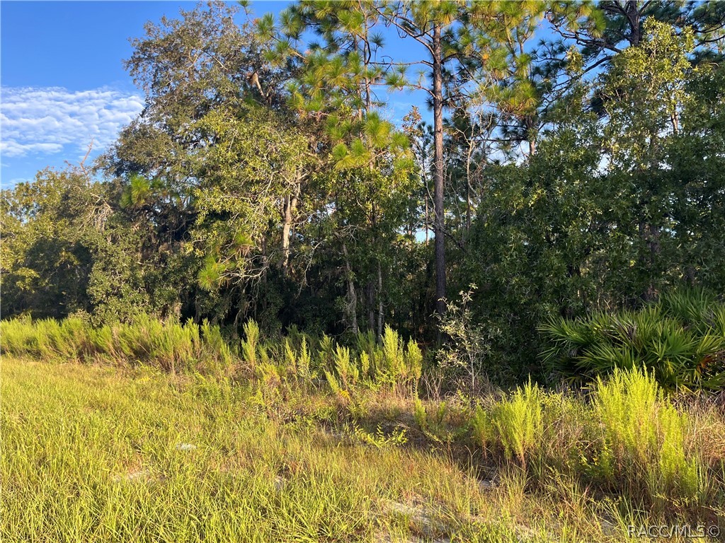 837 W Hummingbird Drive, Citrus Springs, FL 34434