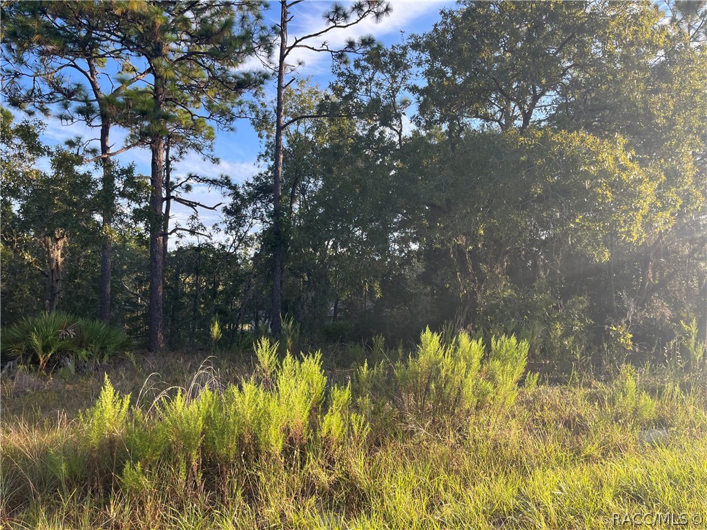 849 W Hummingbird Drive, Citrus Springs, FL 34434 849 W Hummingbird Drive, Citrus Springs, FL 34434