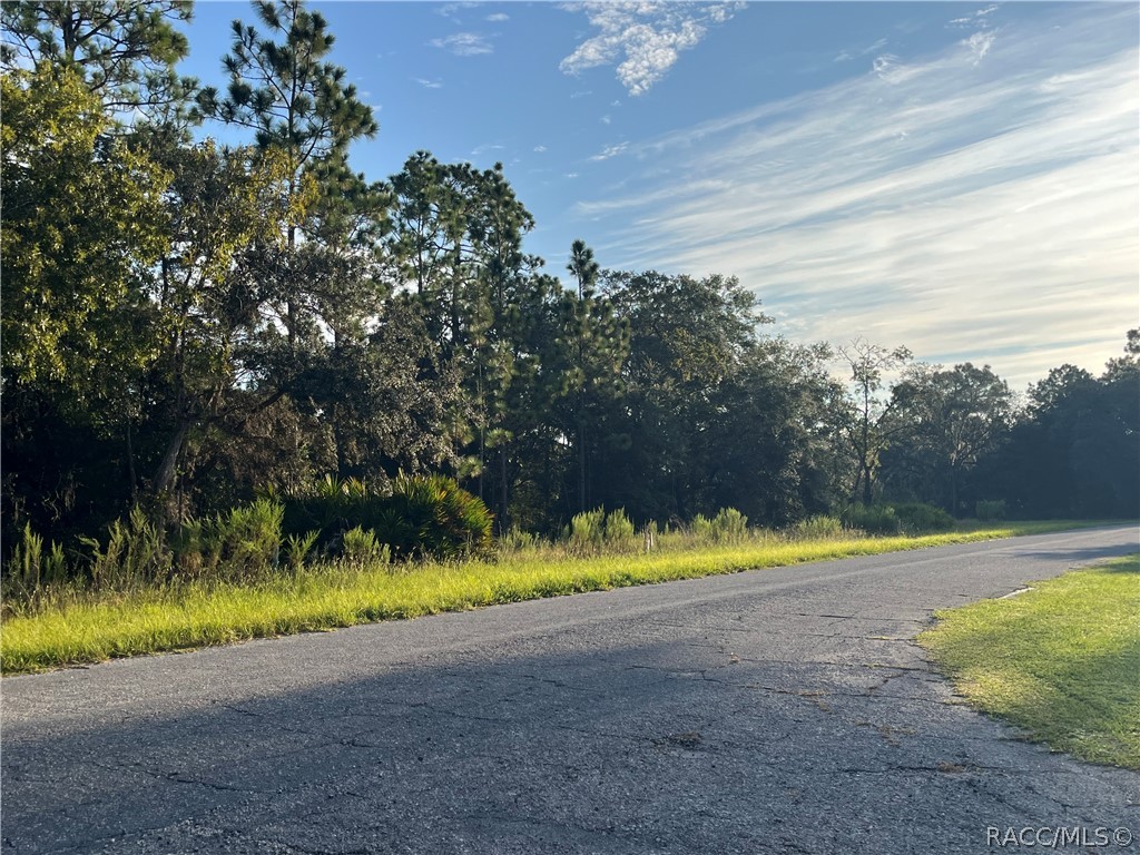 849 W Hummingbird Drive, Citrus Springs, FL 34434 849 W Hummingbird Drive, Citrus Springs, FL 34434