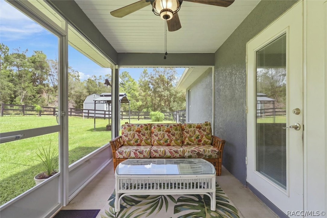 Screened lanai with view of covered grilling station and utility shed in rear yard